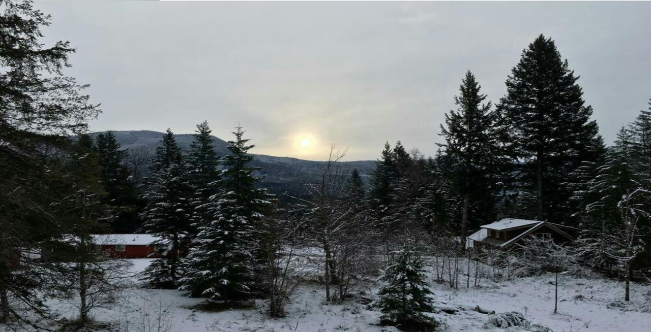 Packwood Ski & Vacation Getaway المظهر الخارجي الصورة
