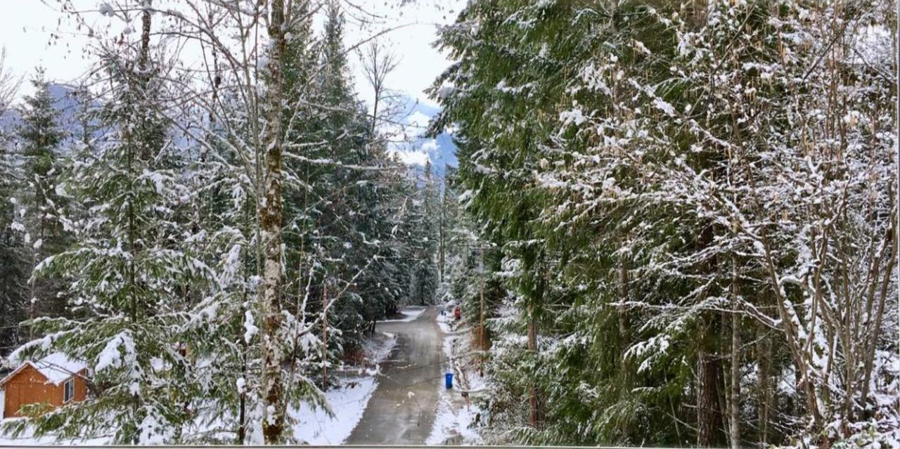 Packwood Ski & Vacation Getaway المظهر الخارجي الصورة